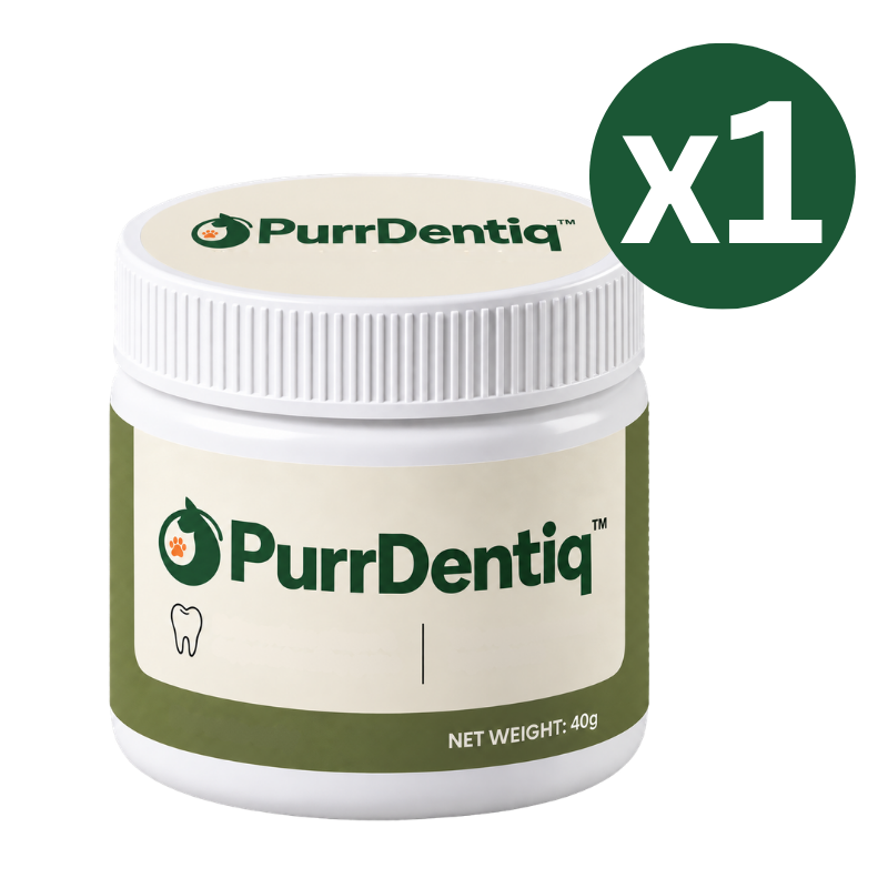 PurrDentiq™